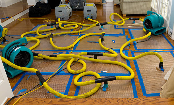 Professional Structural Drying And Dehumidification technician working in White House, TN
